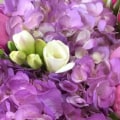 Does Feasterville-Trevose PA Flower Business Offer Corporate Services?