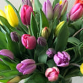 Experience the Magic of Ten Pennies Florist in Feasterville-Trevose PA