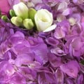 Trevose Flowers: The Best Florist for Flower Delivery in Feasterville-Trevose PA