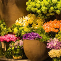 Where to Find the Best Florists in Feasterville-Trevose, PA