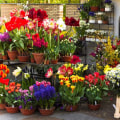 Local Florists In Feasterville-Trevose, PA: Supporting Small Businesses