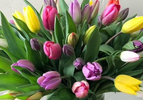 Secure Payment Methods for Feasterville-Trevose PA Flower Business