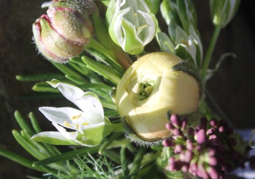 Trevose Flowers: Get Fresh Flowers for Any Occasion in Feasterville Trevose