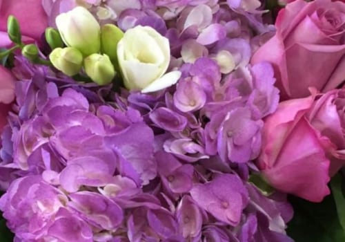 Trevose Flowers: The Best Florist for Flower Delivery in Feasterville-Trevose PA