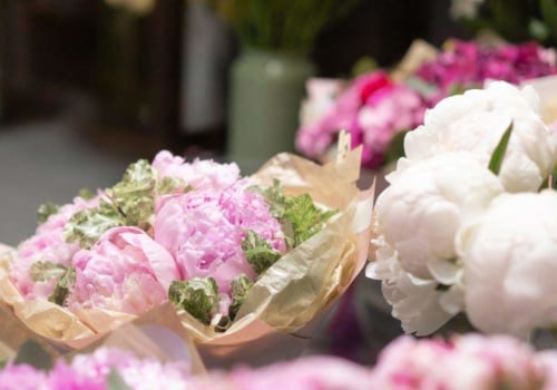Everything You Need to Know About Trevose Flowers